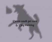Down South Pet Care & Dog training